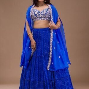 Royal Blue Zariwork Georgette Readymade Lehenga